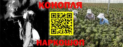 apvp Можга