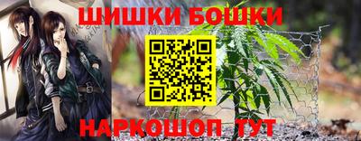 прущие грибы Можайск