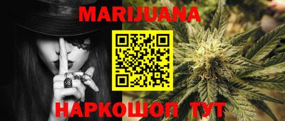 прущие грибы Можайск