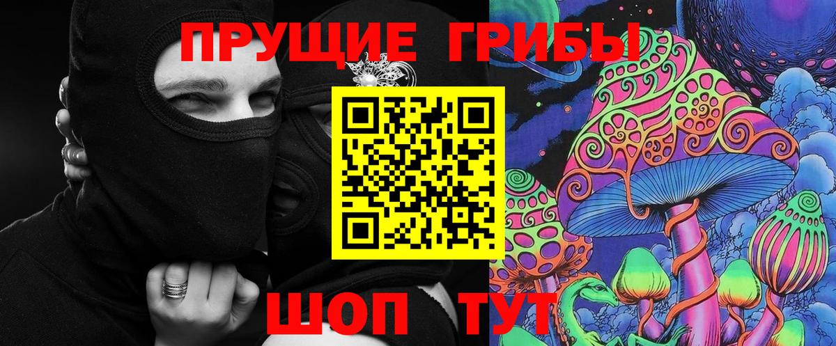 Великий Новгород  Псилоцибиновые грибы мицелий  Псилоцибиновые грибы Psilocybe  Вход с VPN 